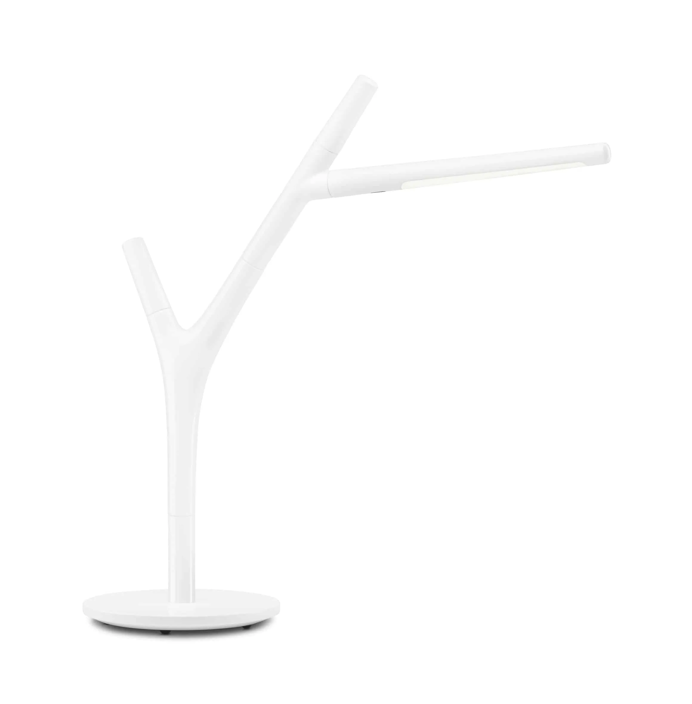 Faggio_table_white2_19