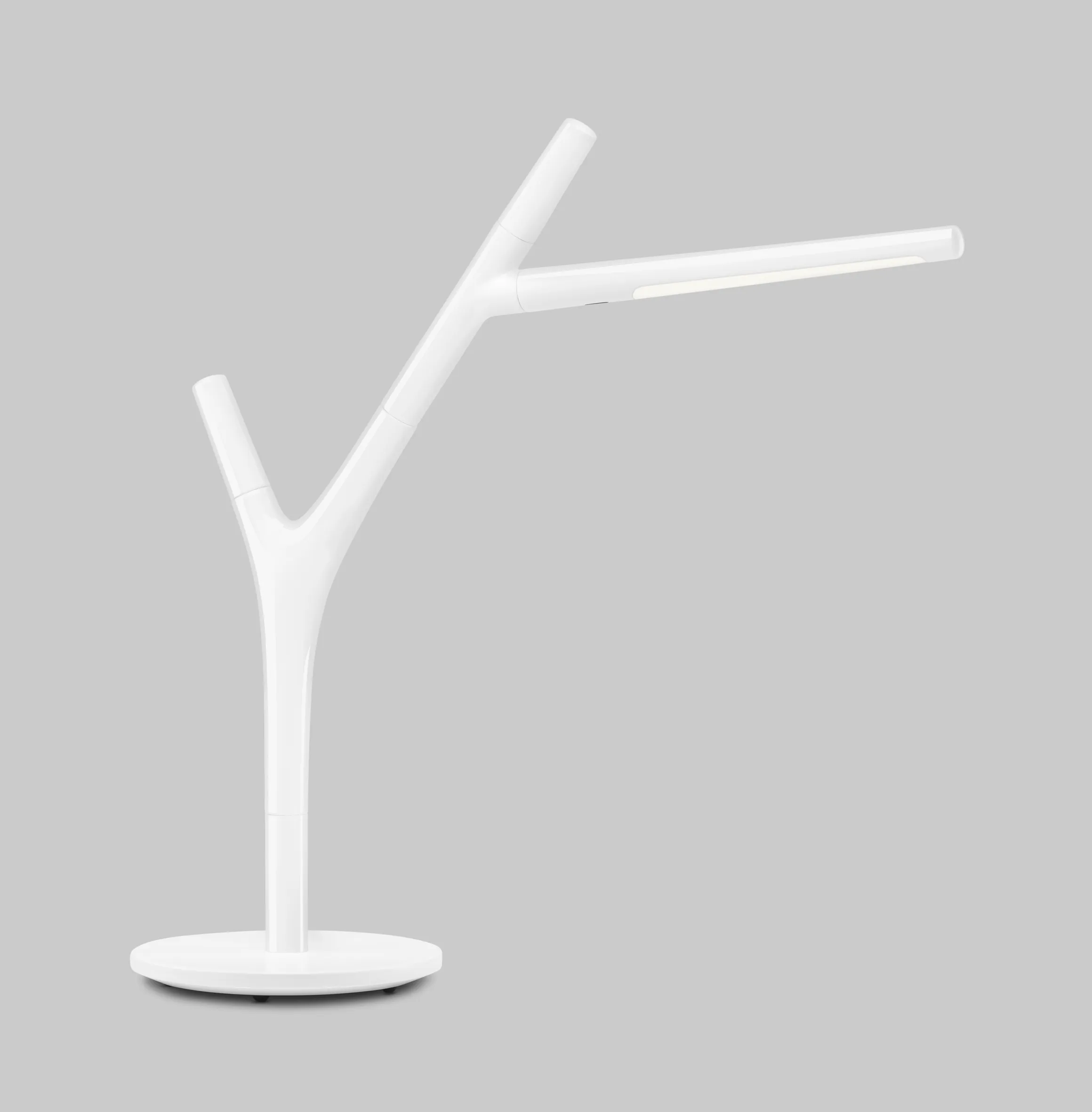 Faggio_table_white_18