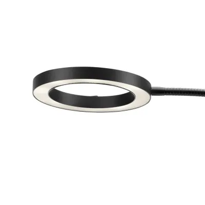 Gloria_golv_svart_vit