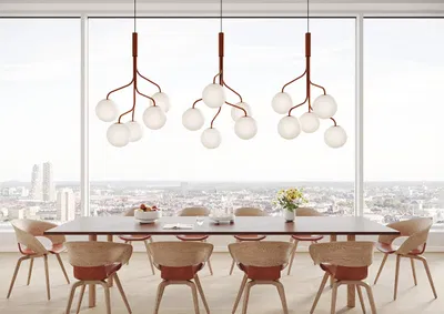 Curve+Cluster+Konferens