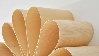 Mandala anki gneib mia cullin 2026