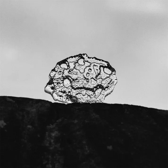 The glass ice platter by Tapio Wirkkala in 1976