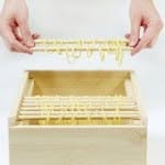 Hanhing Tasty Elena Ke Xu | Scandinavian Design