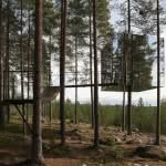 Sxpyrdfmgjv0jsrb6s7i | Scandinavian Design
