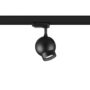 ogle_mini_cieling