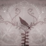 Wkjrdtnu7iinogkzk8wn | Scandinavian Design