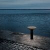 Funghi by Thomas Bernstrand – Zero