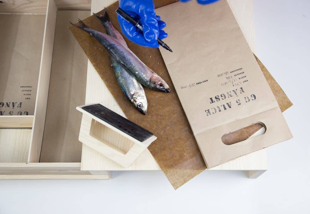 Img 5239 1024x | Scandinavian Design