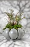 Lotus Nola | Scandinavian Design