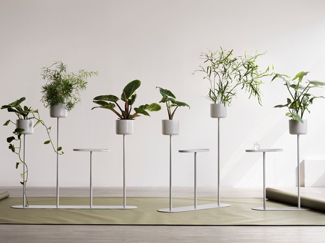 Alle Family | Scandinavian Design