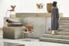 Lily Walnut Veneer 3108 And | Scandinavian Design