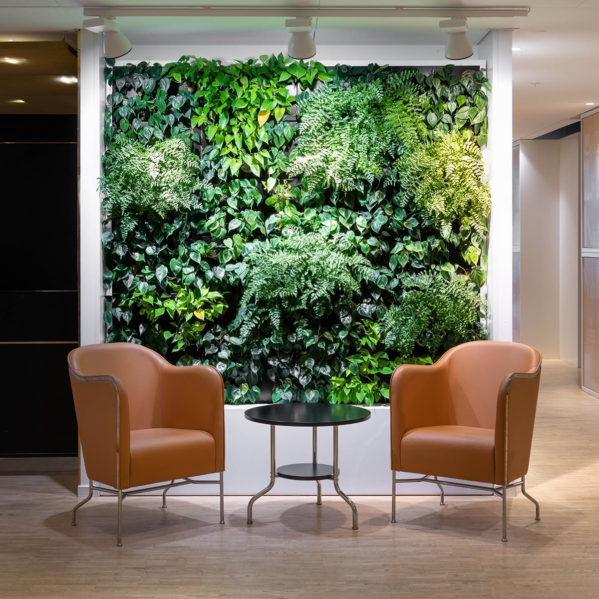 Star Lasse Olsson Photo 8712 High | Scandinavian Design