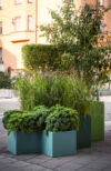 Nola Angle | Scandinavian Design