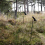 aj-garden-gallery-2
