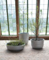 LINEA planter family by Monica Förster for Korbo featuring clean geometric forms that enhance indoor greenery display