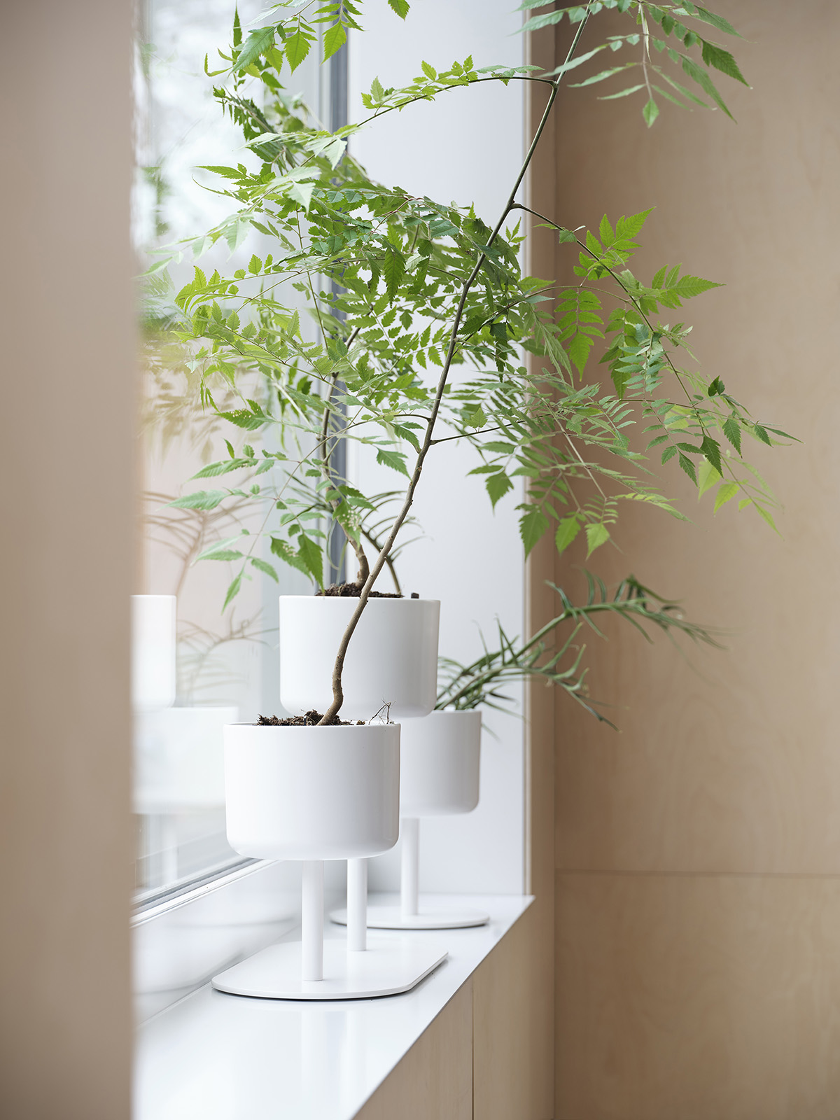 ALLE Mini plant divider by Kauppi & Kauppi for Skandiform featuring compact biophilic room divider for smaller spaces