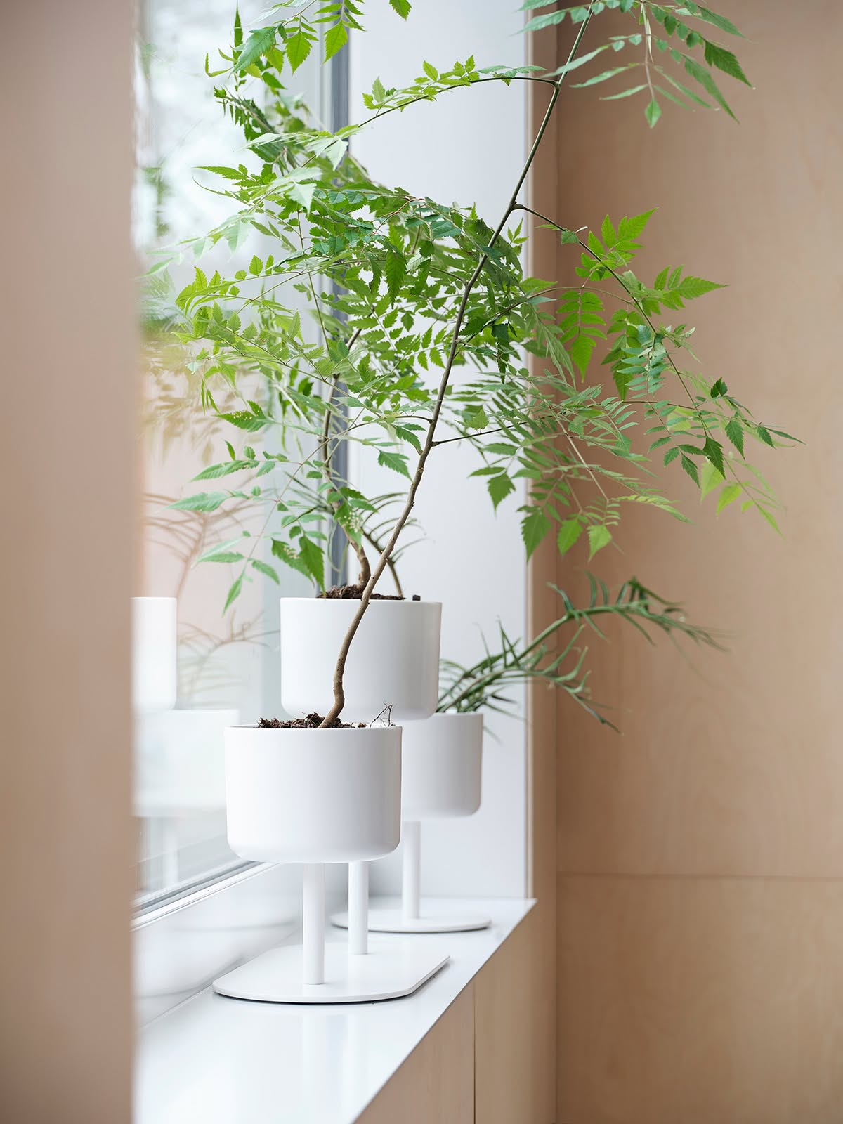 ALLE Mini plant divider by Kauppi & Kauppi for Skandiform featuring compact biophilic room divider for smaller spaces