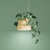 EVY lamp by Formateket for ZERO featuring customizable design that allows users to select their preferred plant element