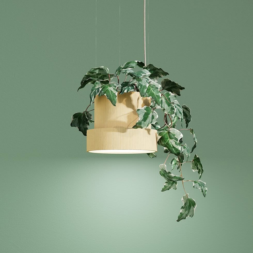 EVY lamp by Formateket for ZERO featuring customizable design that allows users to select their preferred plant element