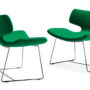 Bone Green X2