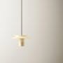 Pholc_lille_24_860111_shapestudy_image_2_on