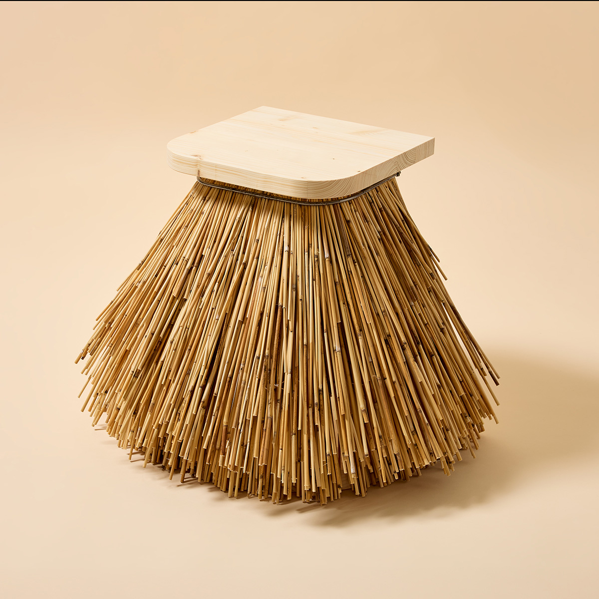 Reading Reeds Harry Parr Young Foto Alexander Beveridge | ScandinavianDesign.com