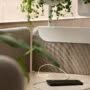 Plantea Alle screen closeup
