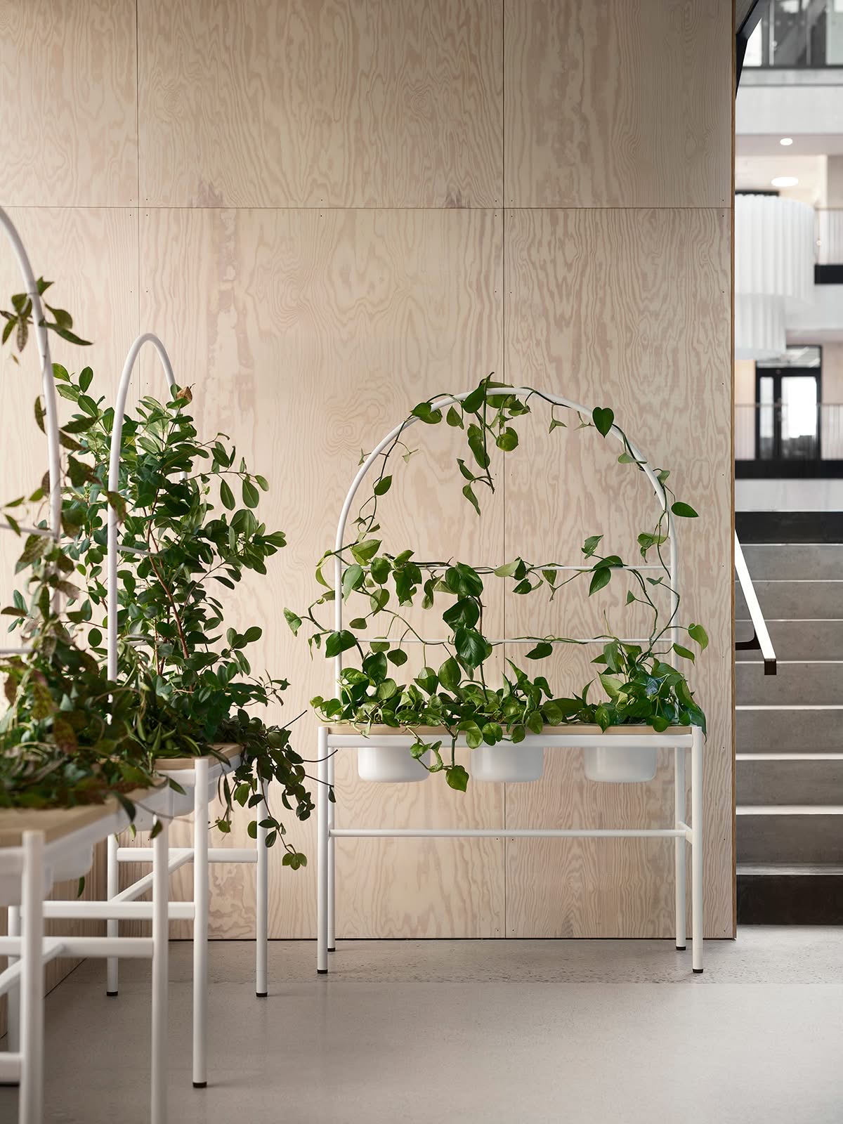Plantea plantdivider with trellis Plantea plantdivider with trellis
