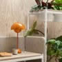 Plantea table plantdivider closeup