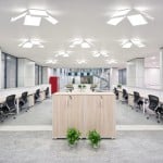 Eagle | Scandinavian Design