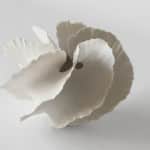Photobodilkarlsson | Scandinavian Design